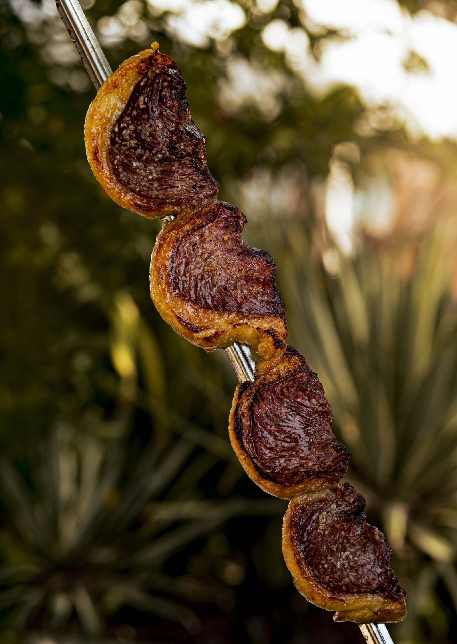 Picanha slices on a churrasco skewer with coarse salt