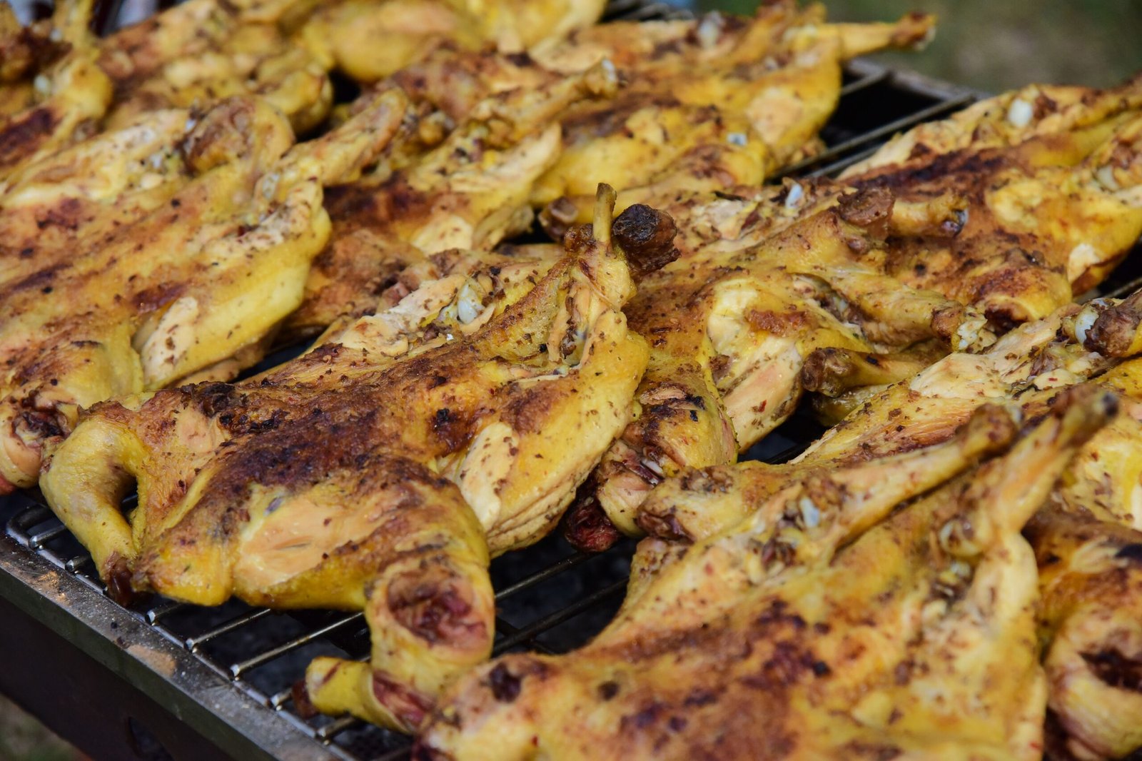 Small whole chickens grilling (galeto)