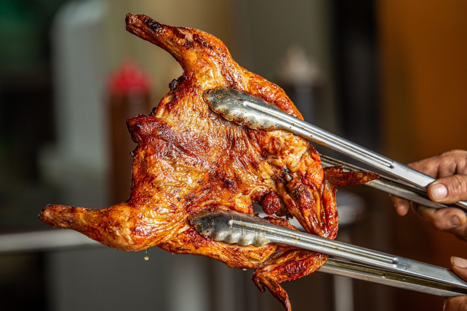 Spatchcocked young chicken off the grill (galeto)