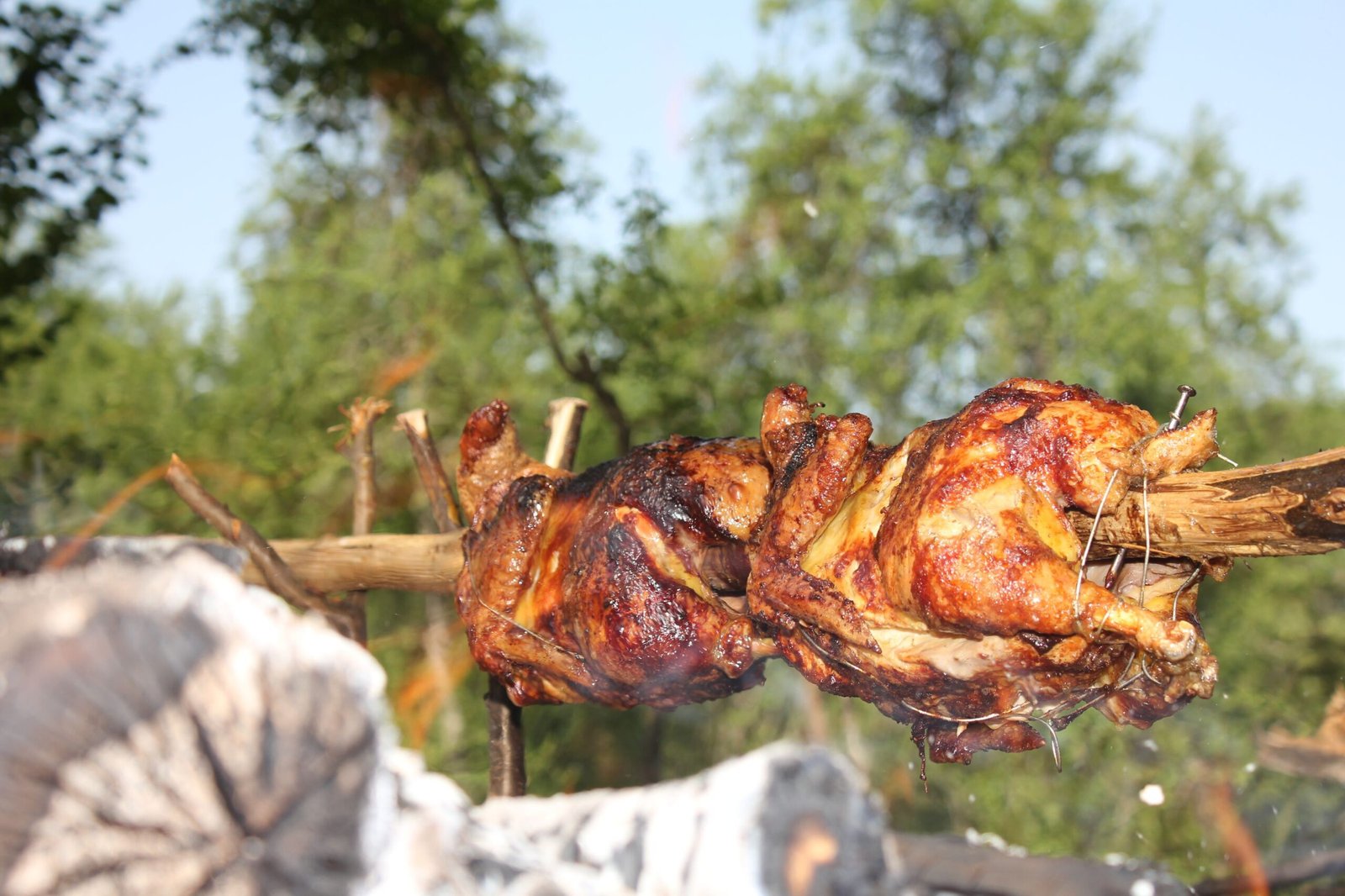 Young chickens roasting on a spit over fire (galeto)
