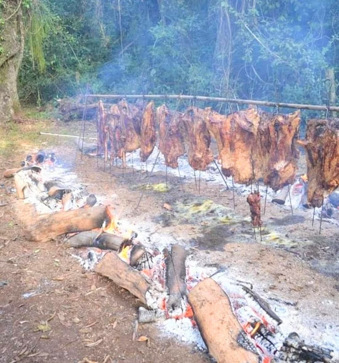 Large slabs of meat hanging vertically from a metal frame over two rows of wood fire on the ground